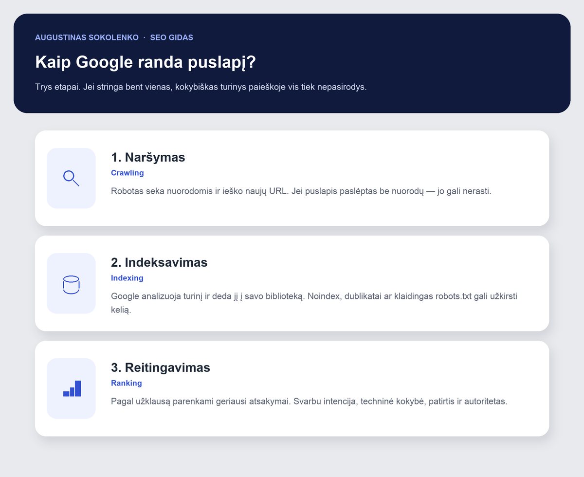 Google paieškos etapai: naršymas (crawling) nuorodomis, indeksavimas į duomenų bazę ir reitingavimas SERP rezultatuose